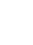 Wasps